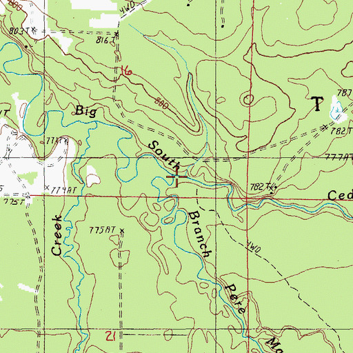 Topographic Map of Cedar Creek, MI
