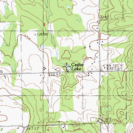 Topographic Map of Cedar Lake, MI