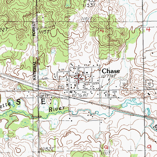 Topographic Map of Chase, MI