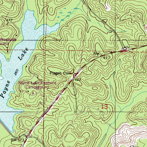 Topographic Map of Pisgah Cemetery, AL