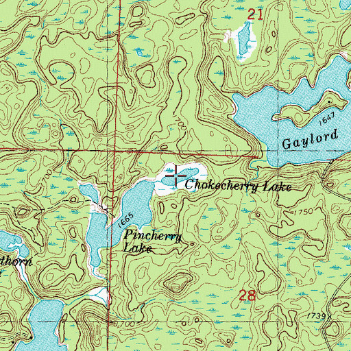 Topographic Map of Chokecherry Lake, MI