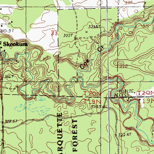 Topographic Map of Coe Creek, MI