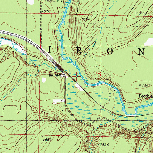 Topographic Map of Cooks Run, MI