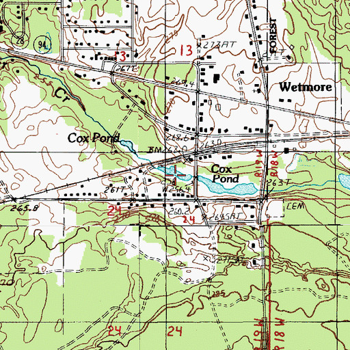 Topographic Map of Cox Pond, MI
