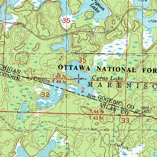Topographic Map of Cyrus Lake, MI