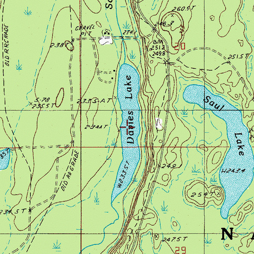 Topographic Map of Davies Lake, MI