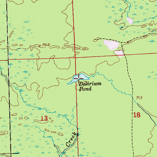 Topographic Map of Delirium Pond, MI
