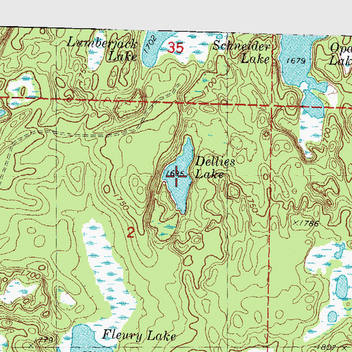Topographic Map of Dellies Lake, MI