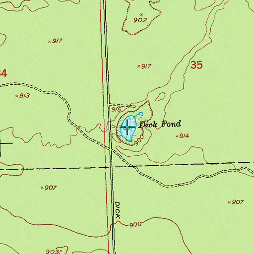 Topographic Map of Dick Pond, MI