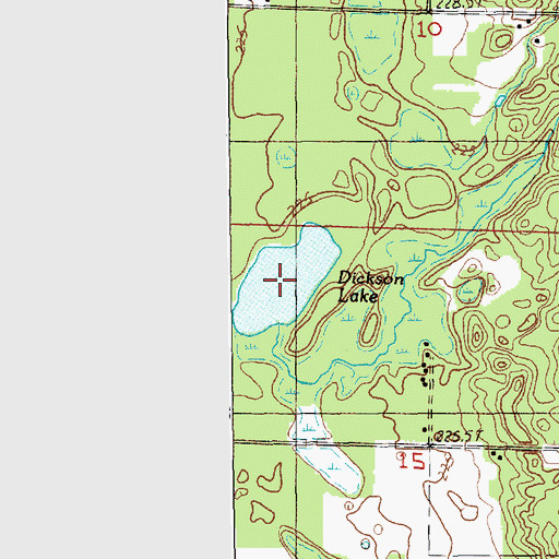 Topographic Map of Dickson Lake, MI