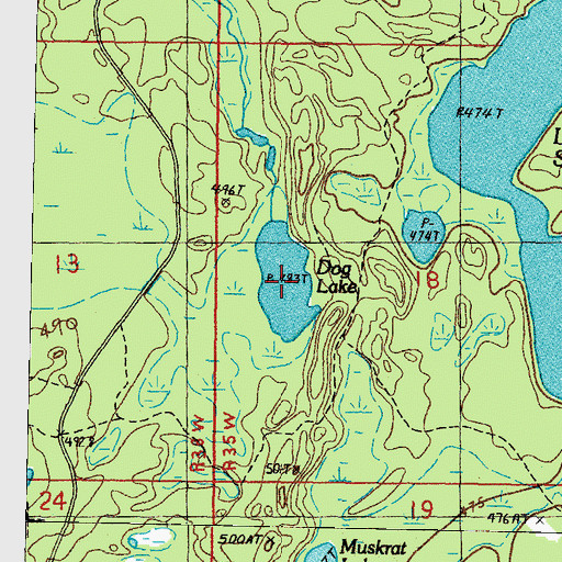 Topographic Map of Dog Lake, MI