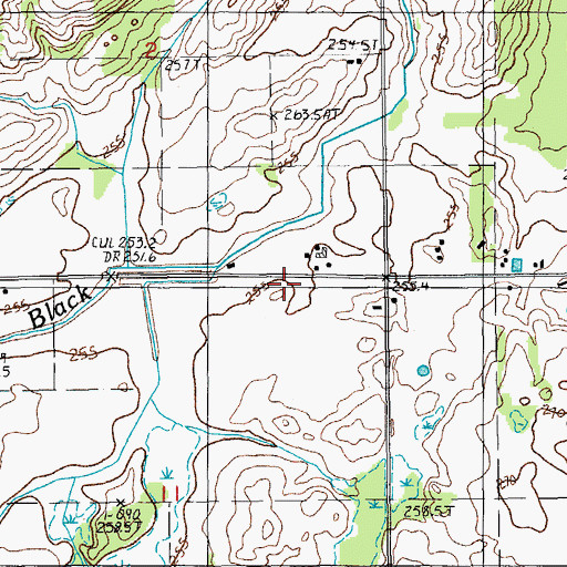 Topographic Map of Donahue School, MI