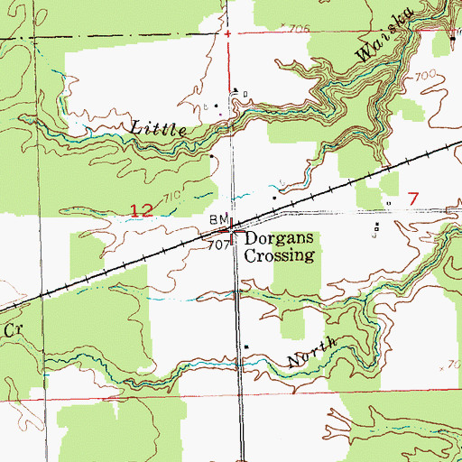 Topographic Map of Dorgans Crossing, MI