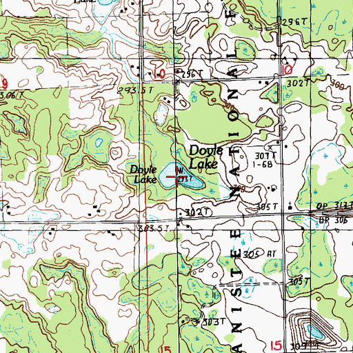 Topographic Map of Doyle Lake, MI