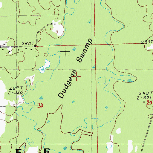 Topographic Map of Dudgean Swamp, MI