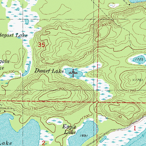 Topographic Map of Dwarf Lake, MI