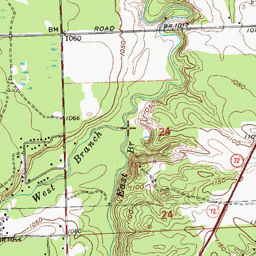 Topographic Map of East Branch Big Creek, MI