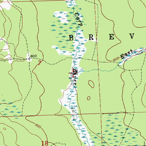 Topographic Map of East Lake Branch Carp River, MI