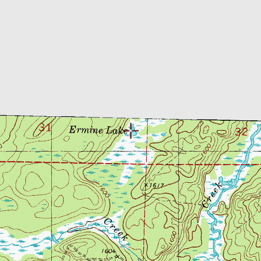 Topographic Map of Ermine Lake, MI