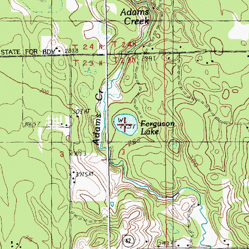 Topographic Map of Ferguson Lake, MI