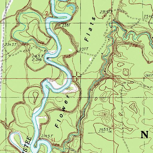 Topographic Map of Flower Flats, MI