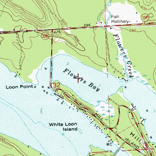 Topographic Map of Flowers Bay, MI