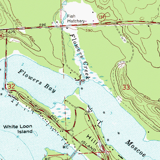 Topographic Map of Flowers Creek, MI