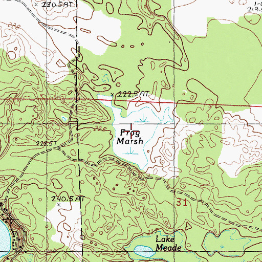 Topographic Map of Frog Marsh, MI