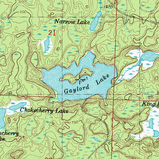 Topographic Map of Gaylord Lake, MI