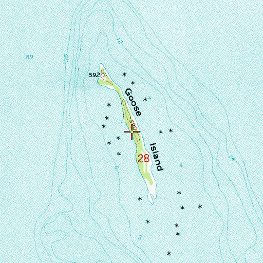 Topographic Map of Goose Island, MI