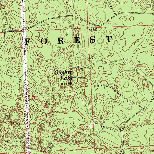 Topographic Map of Gopher Lake, MI