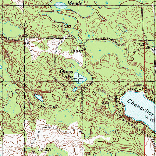 Topographic Map of Grass Lake, MI