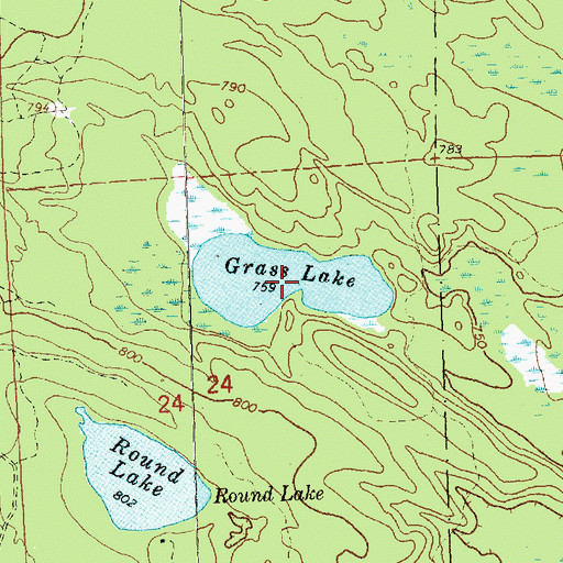 Topographic Map of Grass Lake, MI