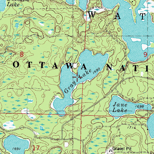 Topographic Map of Gray Lake, MI