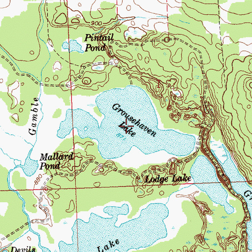 Topographic Map of Grousehaven Lake, MI