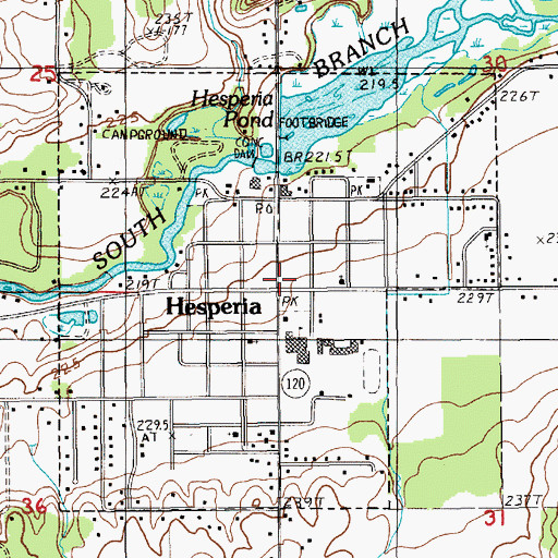 Topographic Map of Hesperia, MI
