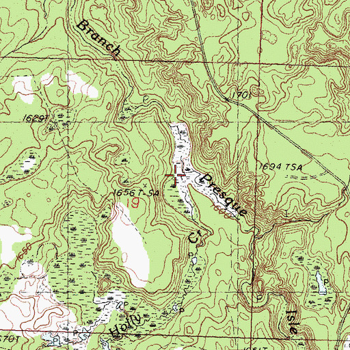 Topographic Map of Holly Creek, MI