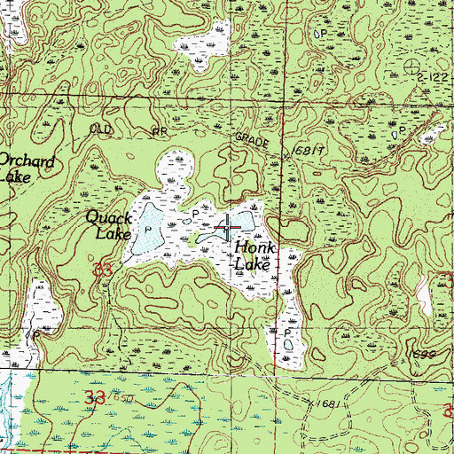 Topographic Map of Honk Lake, MI