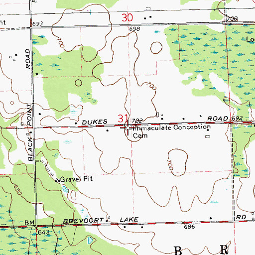Topographic Map of Immaculate Conception Cemetery, MI