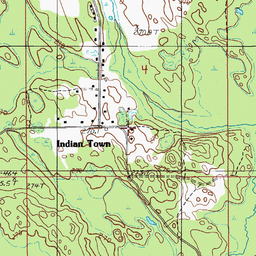 Topographic Map of Indian Town, MI