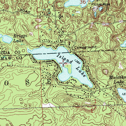 Topographic Map of Island Lake, MI