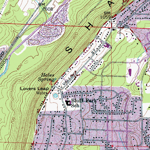 Topographic Map of Odum Gap, AL