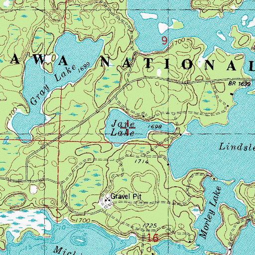 Topographic Map of Jane Lake, MI