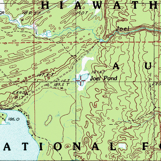 Topographic Map of Joel Pond, MI