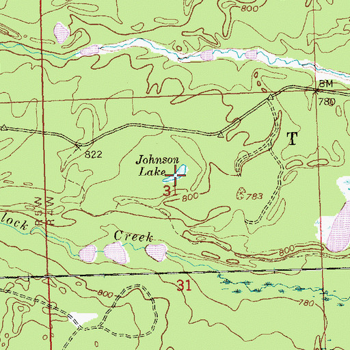 Topographic Map of Johnson Lake, MI