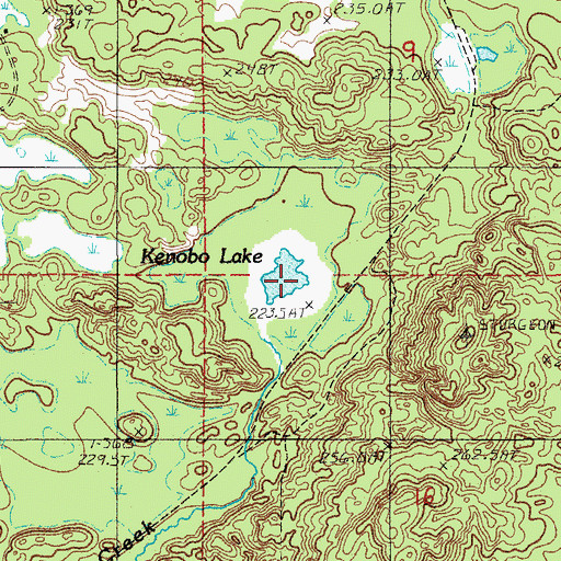 Topographic Map of Kenobo Lake, MI