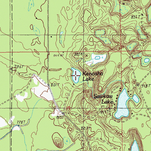 Topographic Map of Kenosha Lake, MI