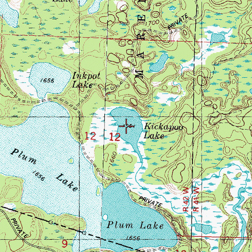 Topographic Map of Kickapoo Lake, MI