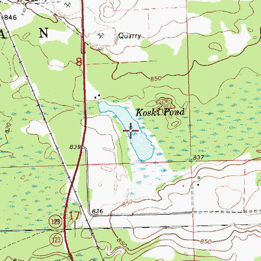 Topographic Map of Koski Pond, MI