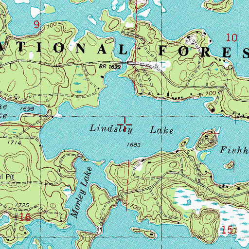 Topographic Map of Lindsley Lake, MI